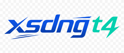 xsdng t4